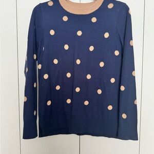 Charter Club Blue and Tan Sweater